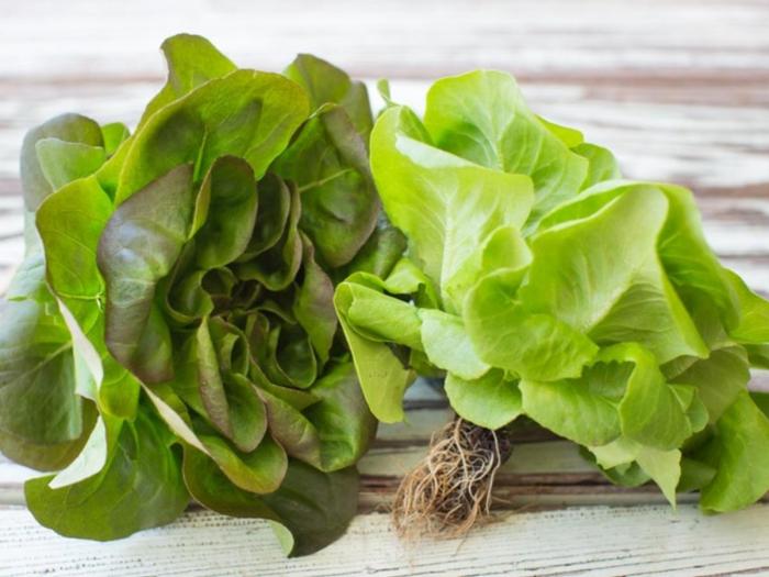 Butter lettuce nutrition facts