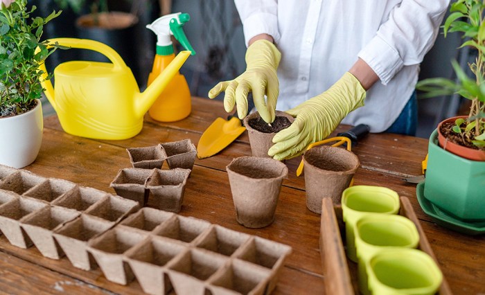 Seeds seed planting indoors